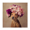 Trademark Fine Art Tammy Swarek 'Lady Dog' Canvas Art, 18x18 1X10508-C1818GG